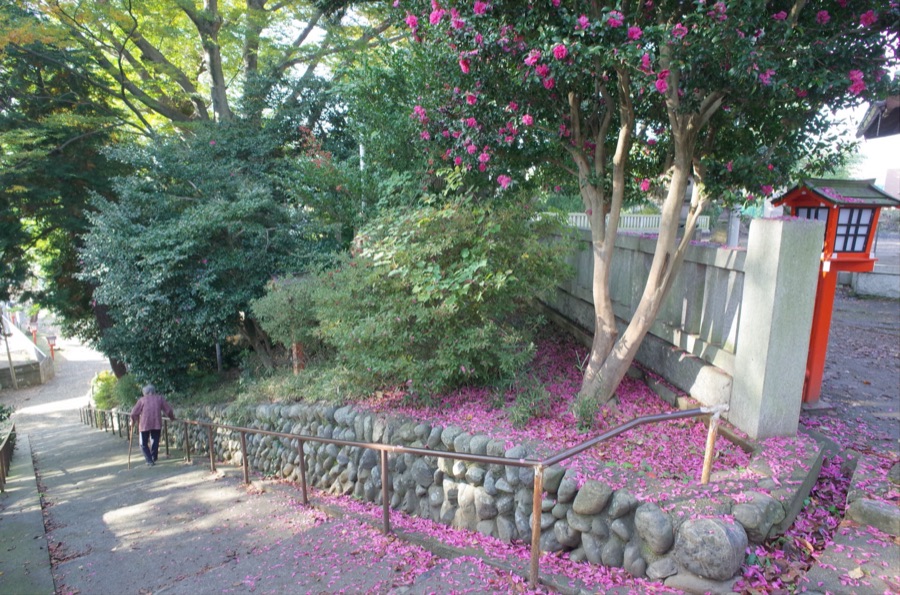 おばあちゃん気を付けてね（東京都）