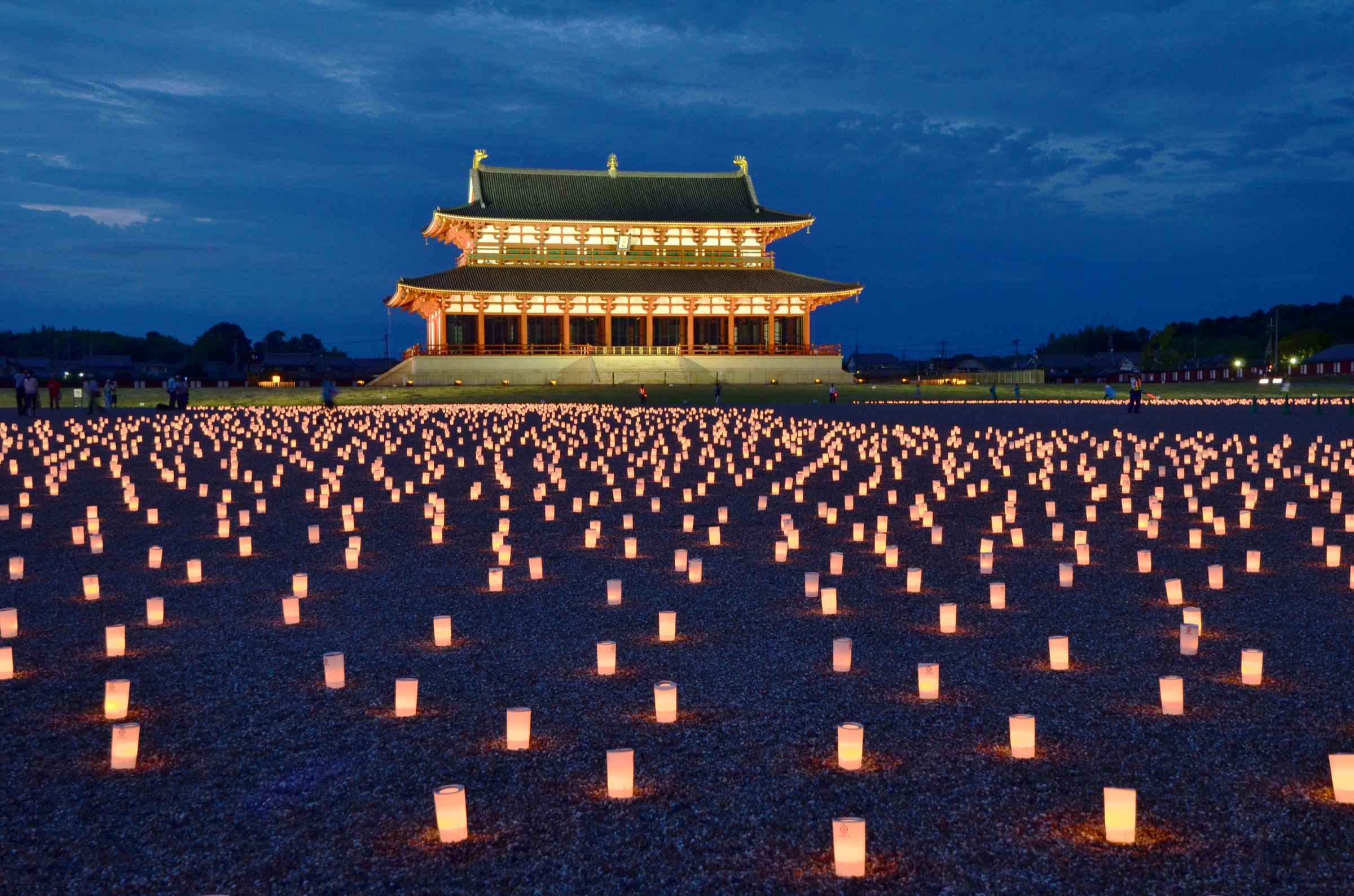 奈良燈花會夜色中，燭光沿著草地與步道延伸。