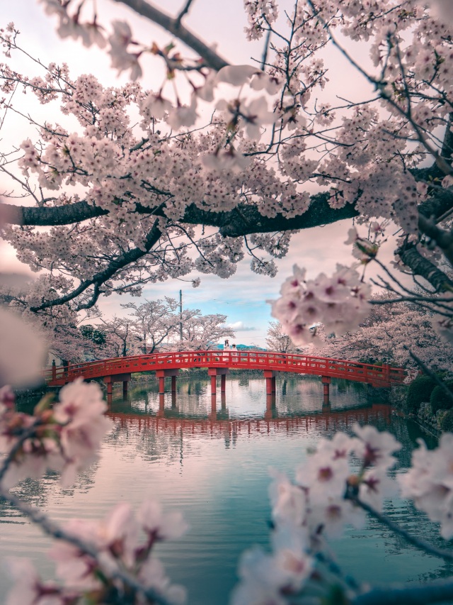 涼ケ岡八幡神社